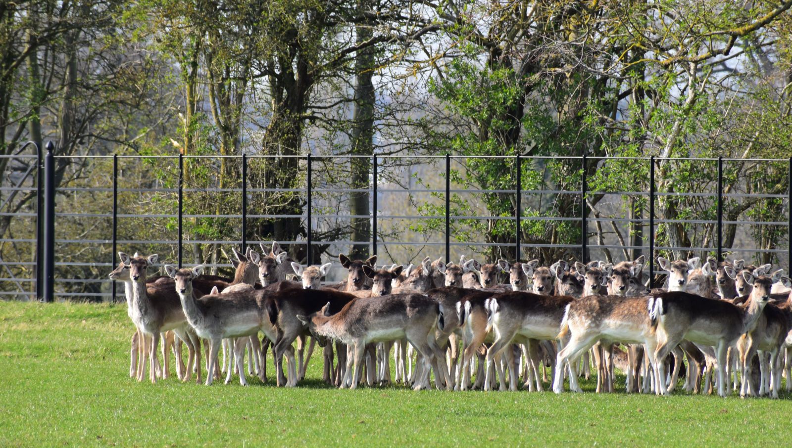 an image of Burghley House