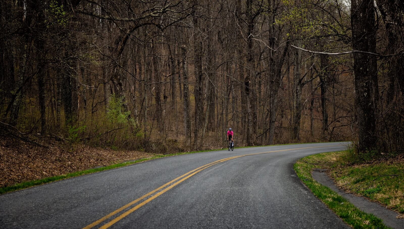 an image of Asheville