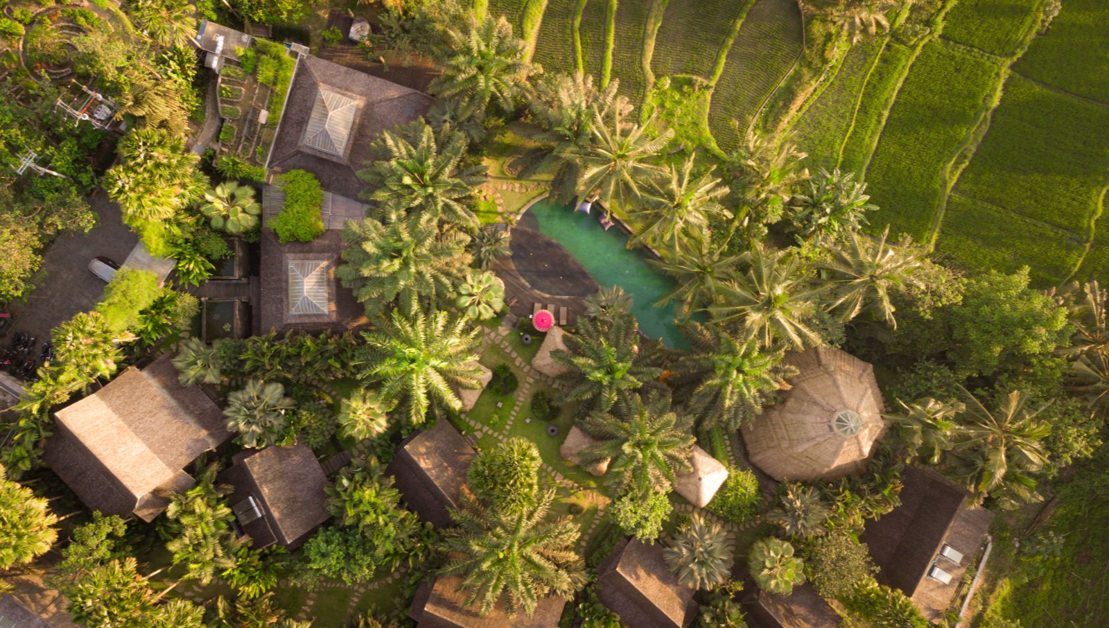 an image of Hotels in Ubud