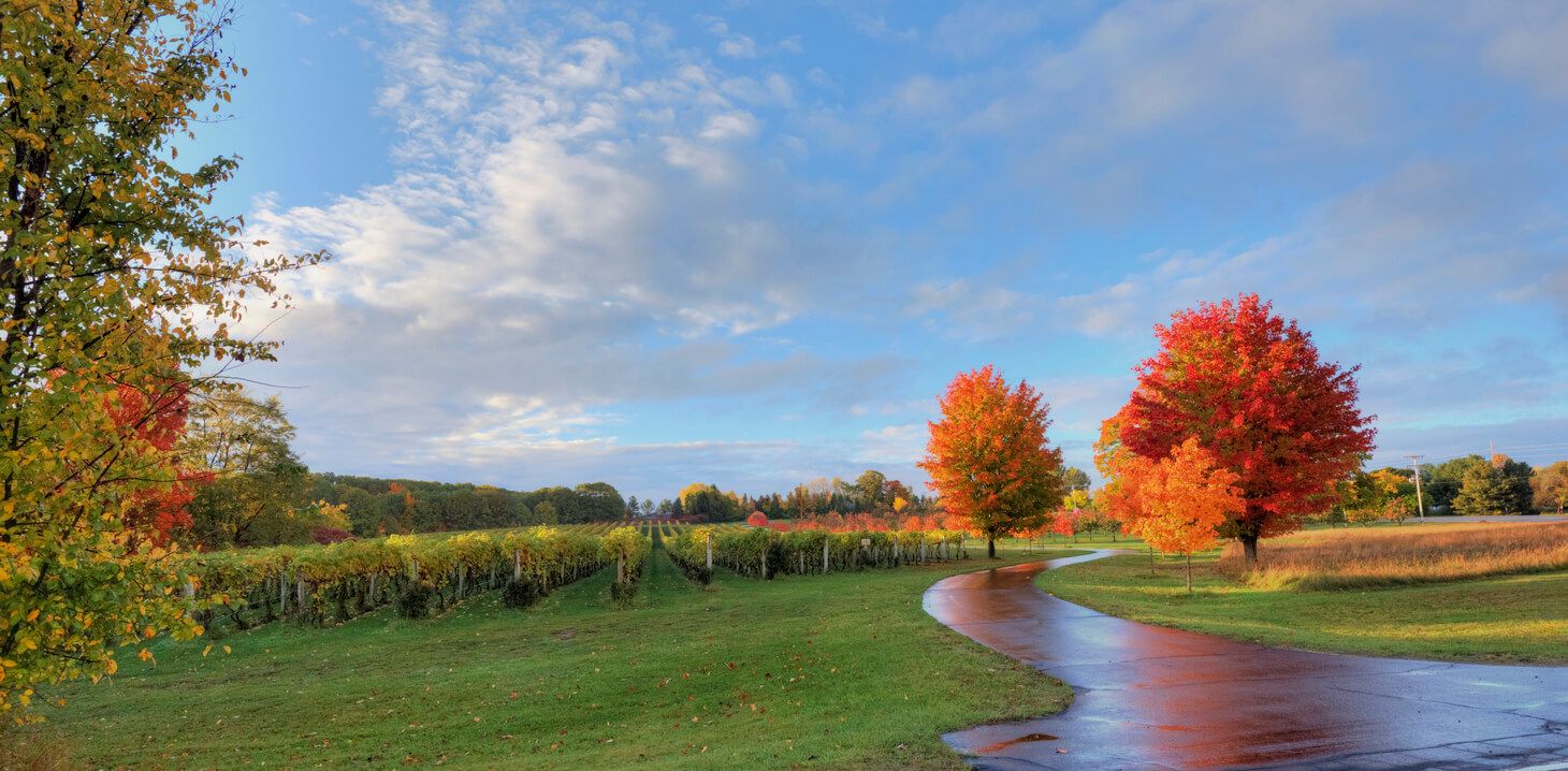 an image of Michigan