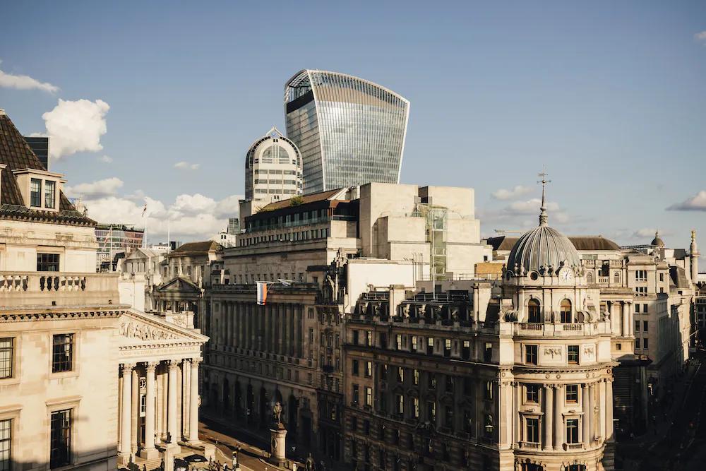 an image of 2) The Ned