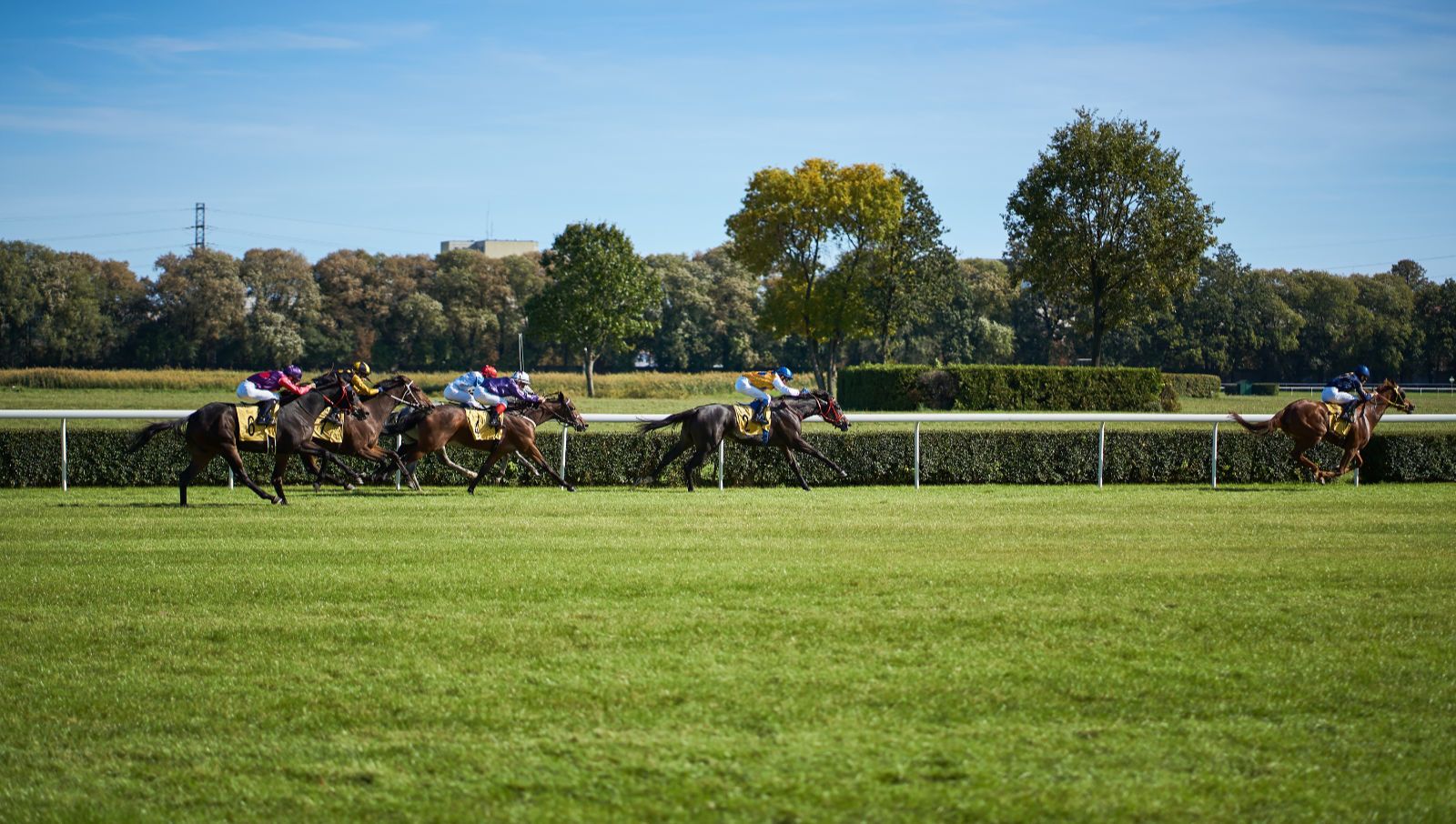 an image of Perth Racecourse