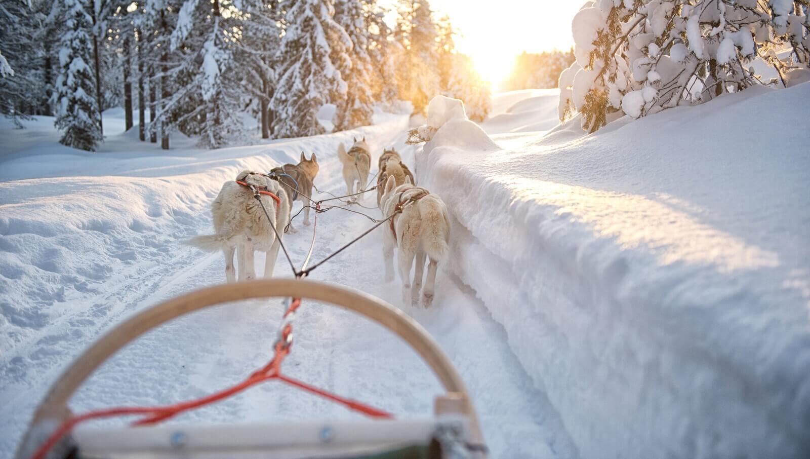 an image of Lapland