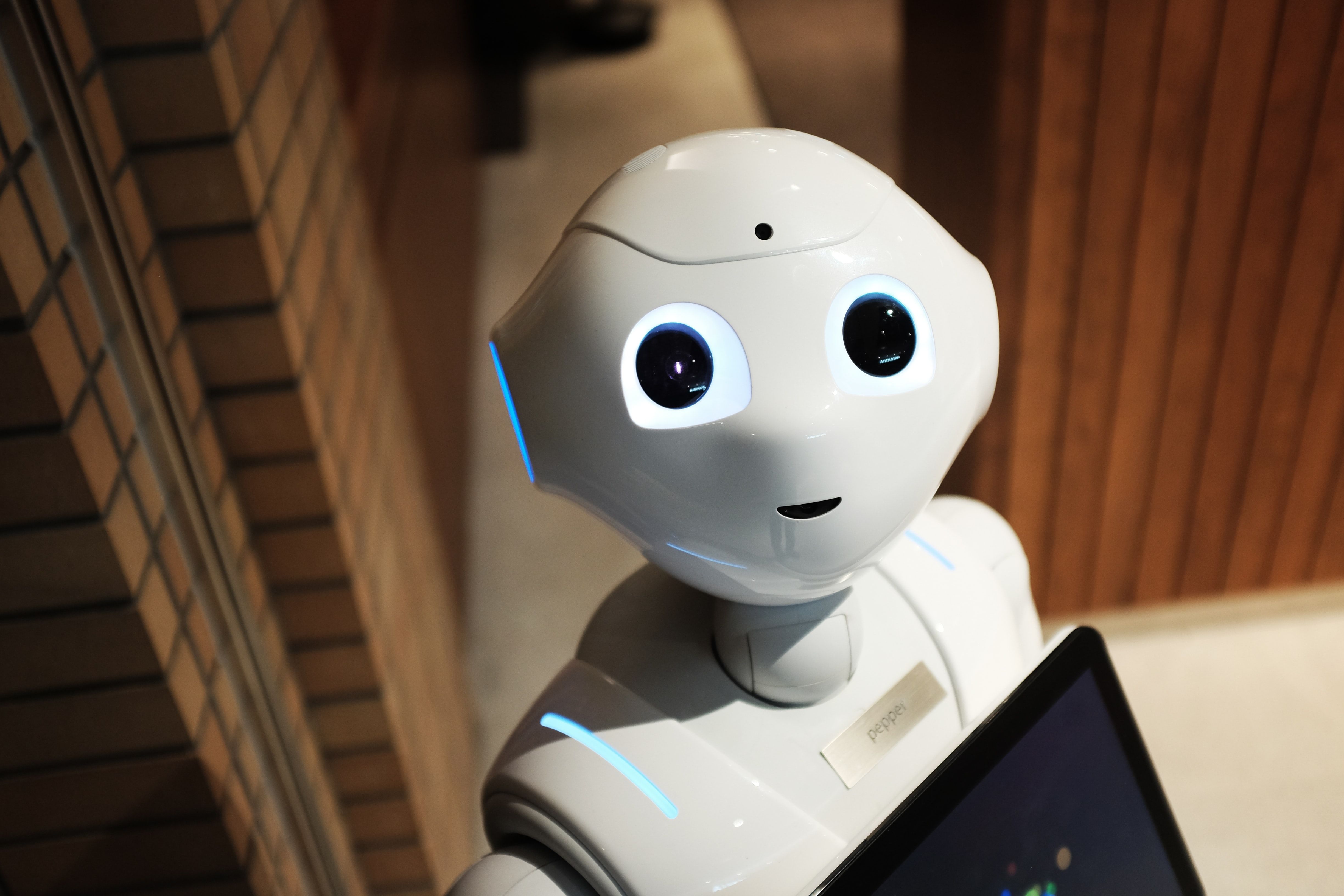 image of a robot staring at you