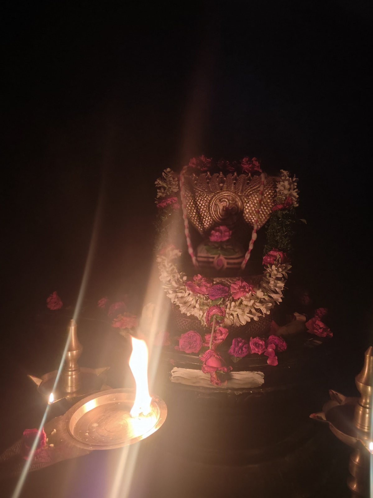 Batuk Bhairav Jayanti Seva