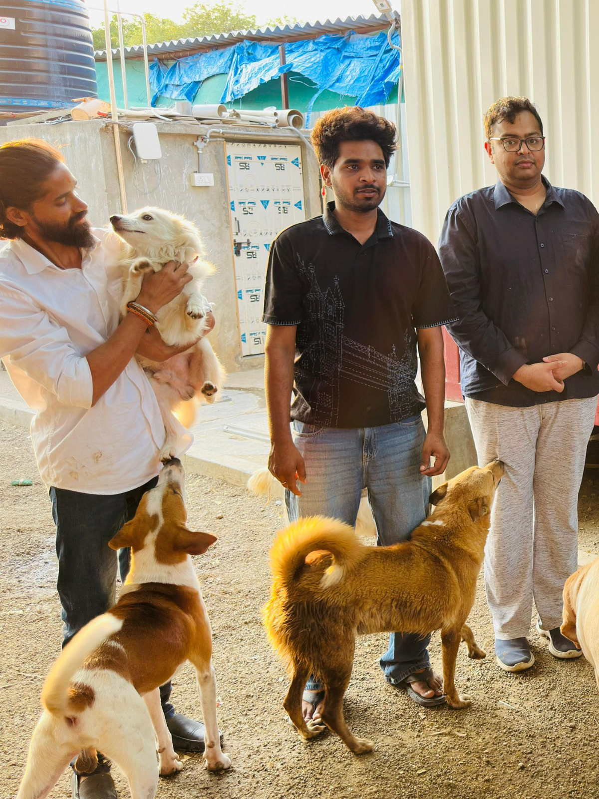 Savana Seva — 17 May 2026