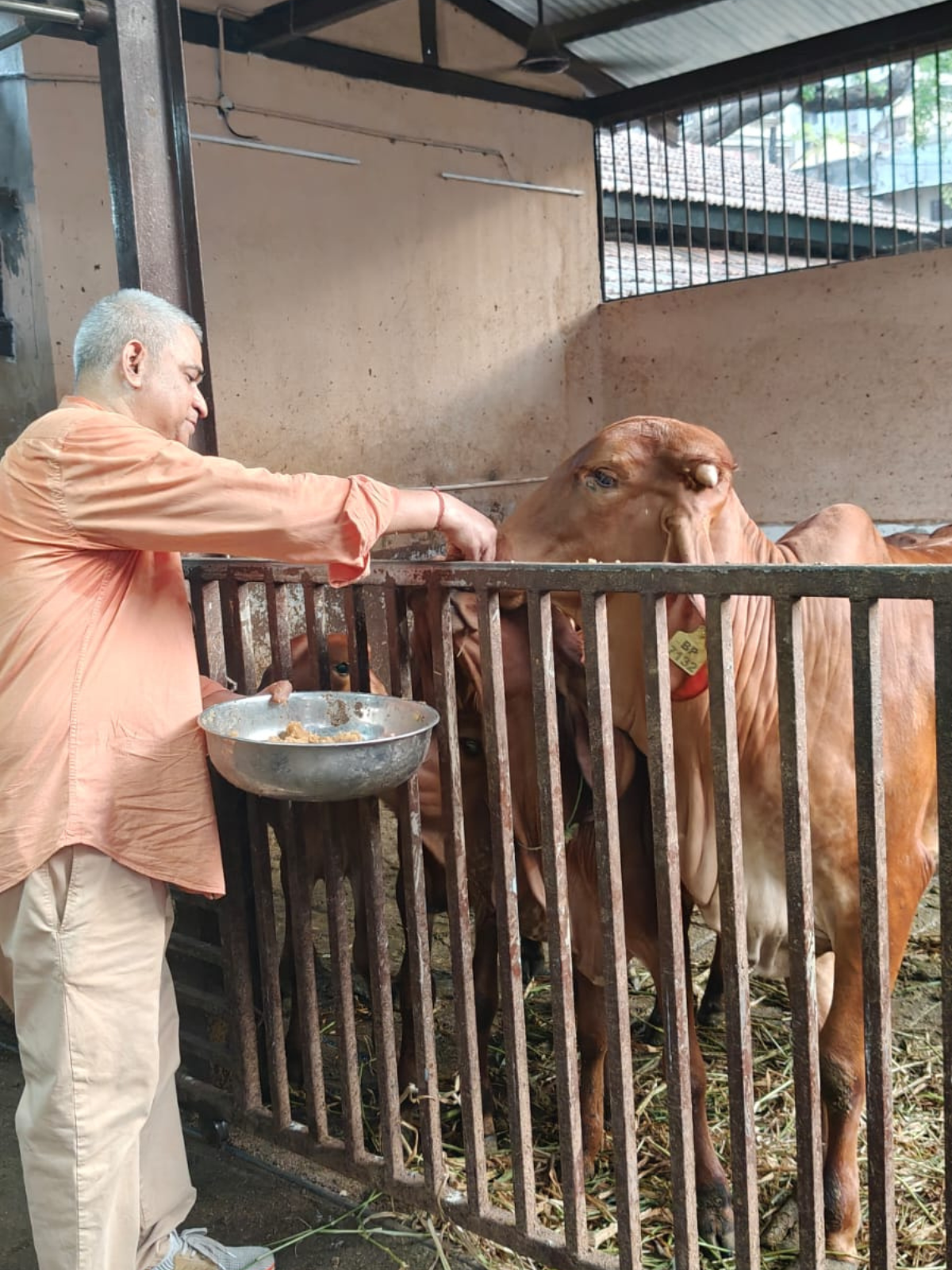 Gau Seva — 16 May 2026