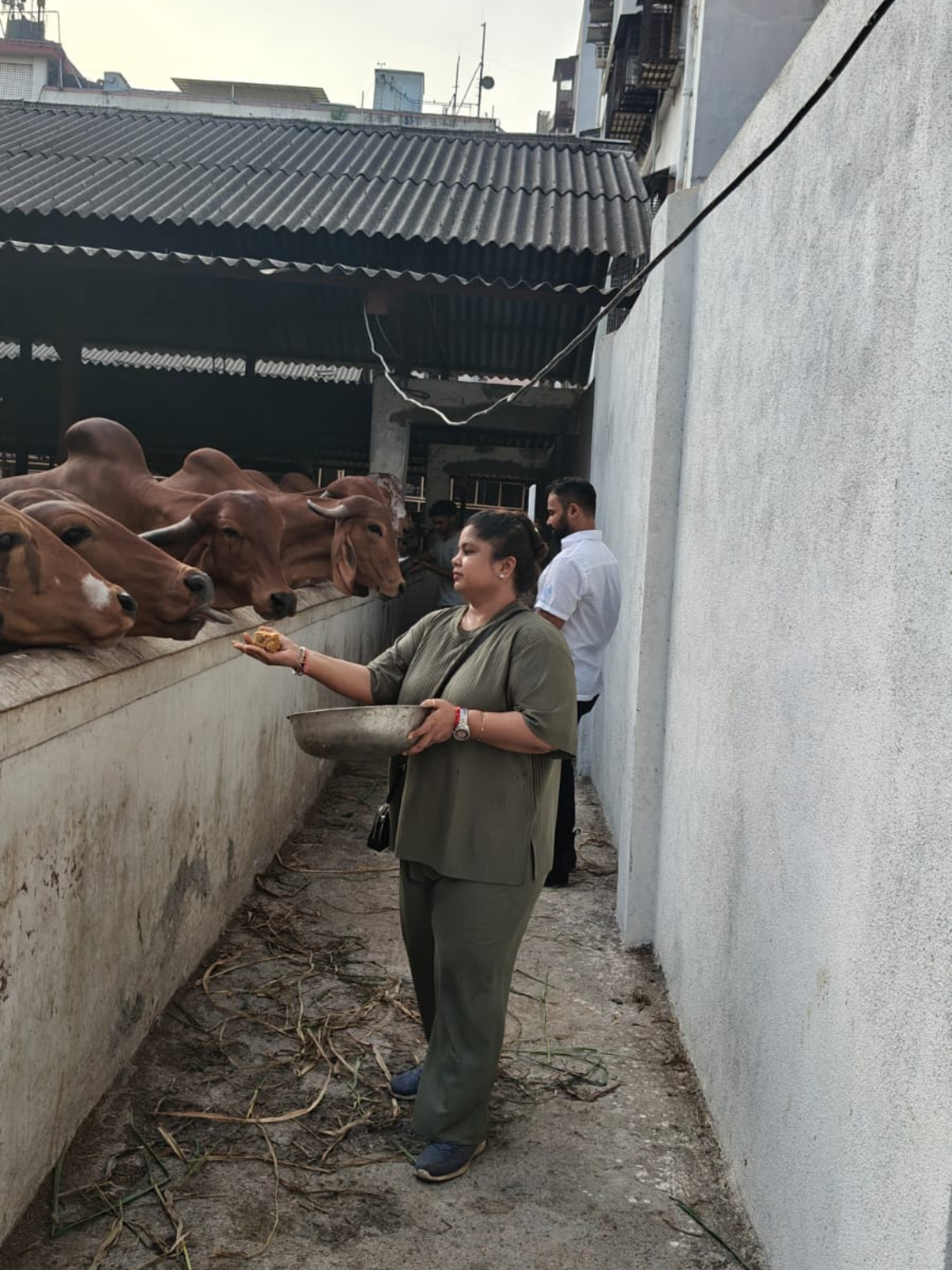 Gau Seva — 16 May 2026