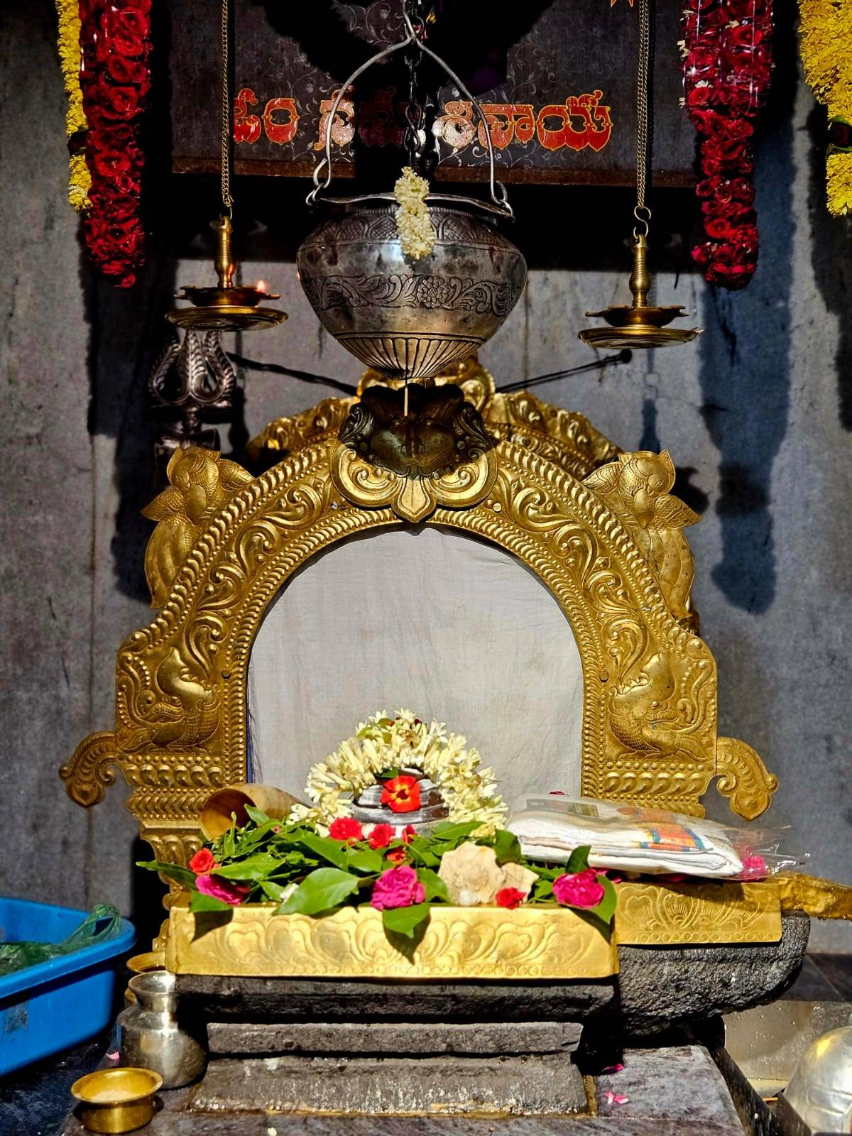 Batuk Bhairav Jayanti Seva