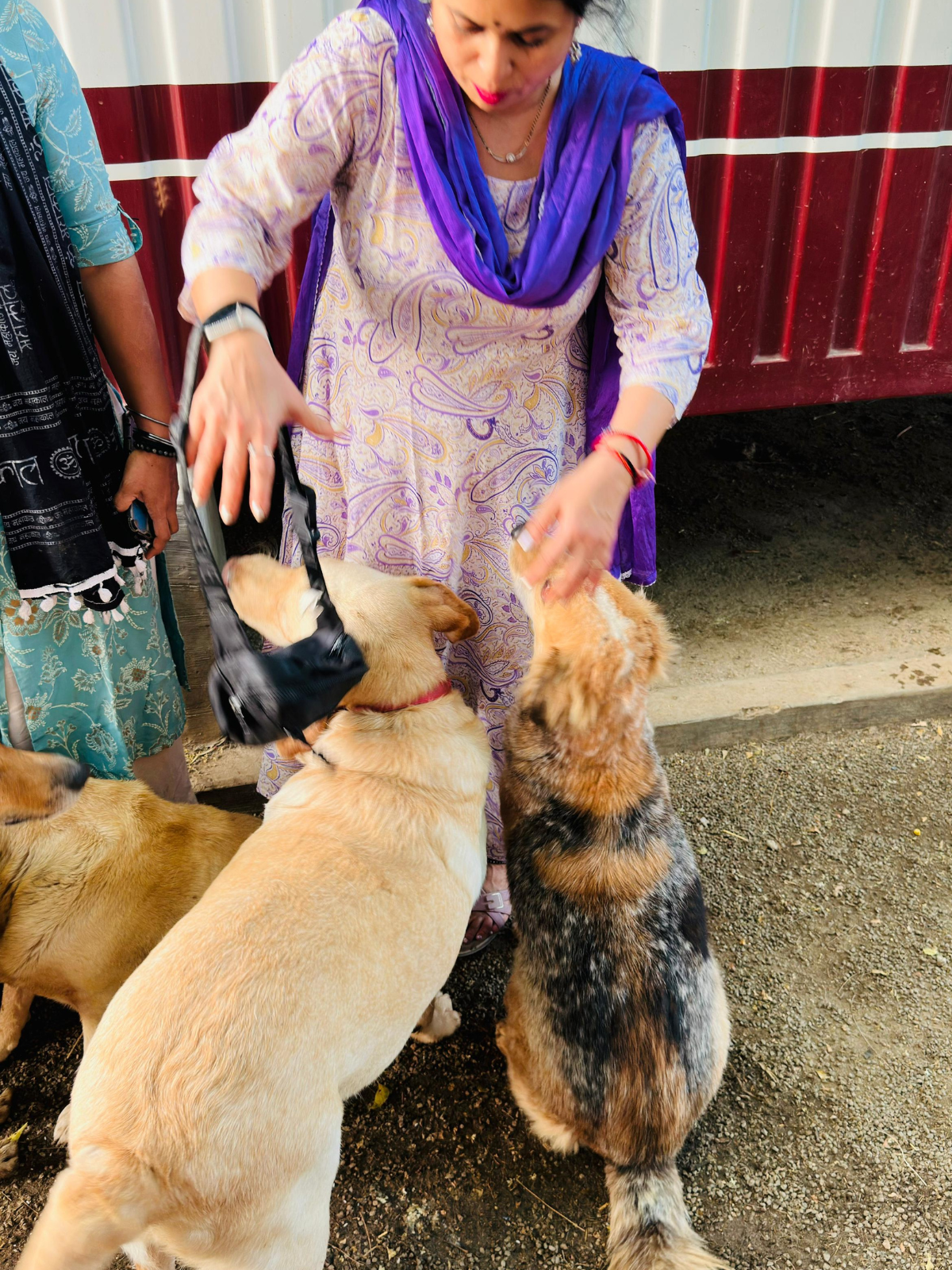 Savana Seva — 17 May 2026