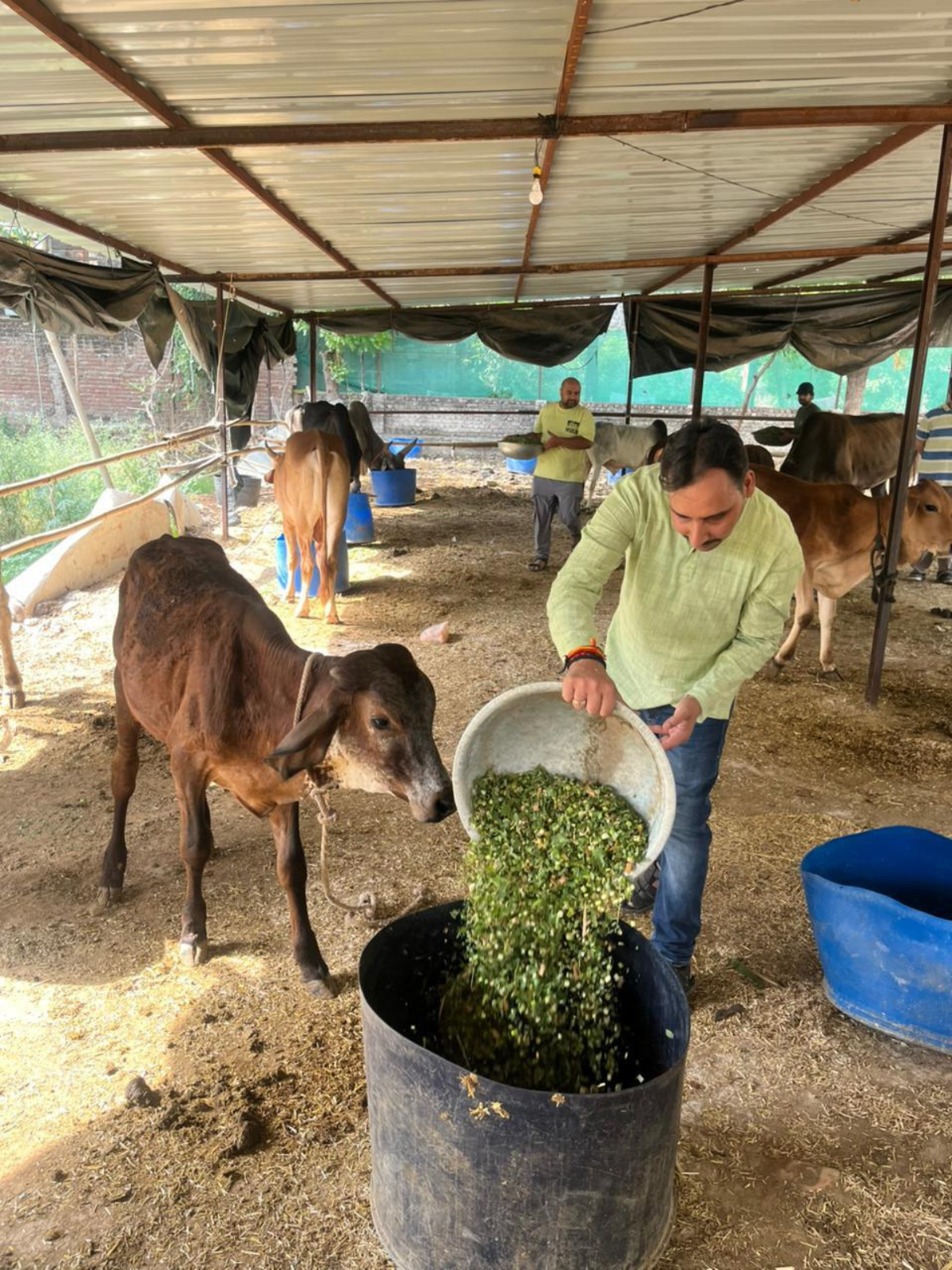 Gau Seva — 17 May 2026