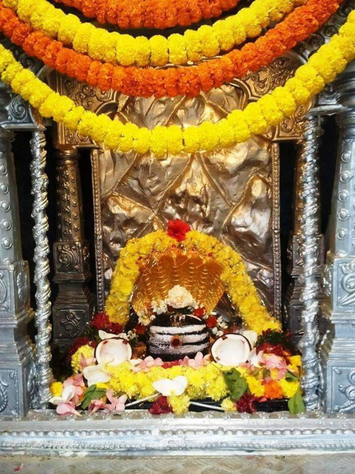 Batuk Bhairav Jayanti Seva