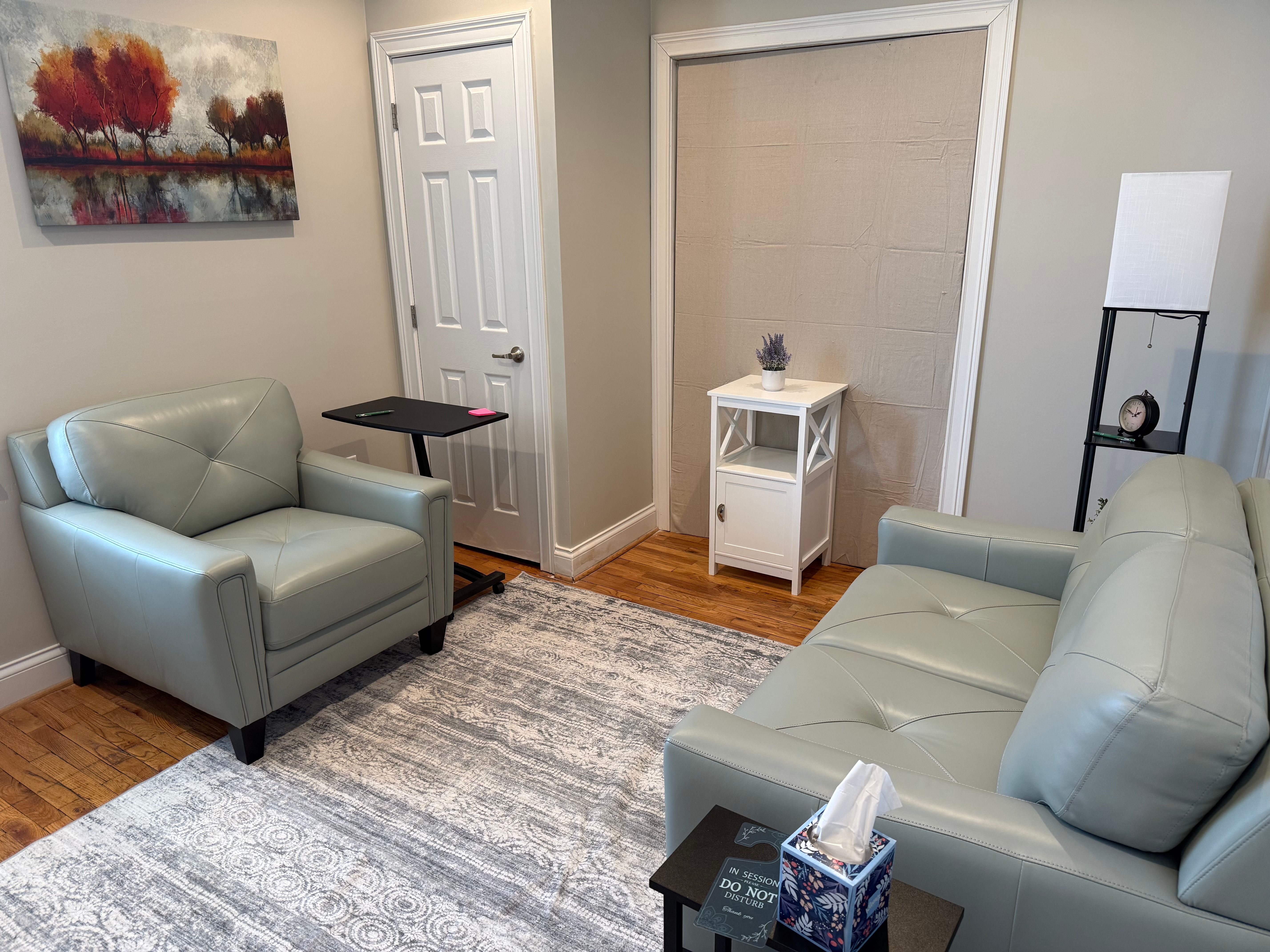 Georgetown therapy room