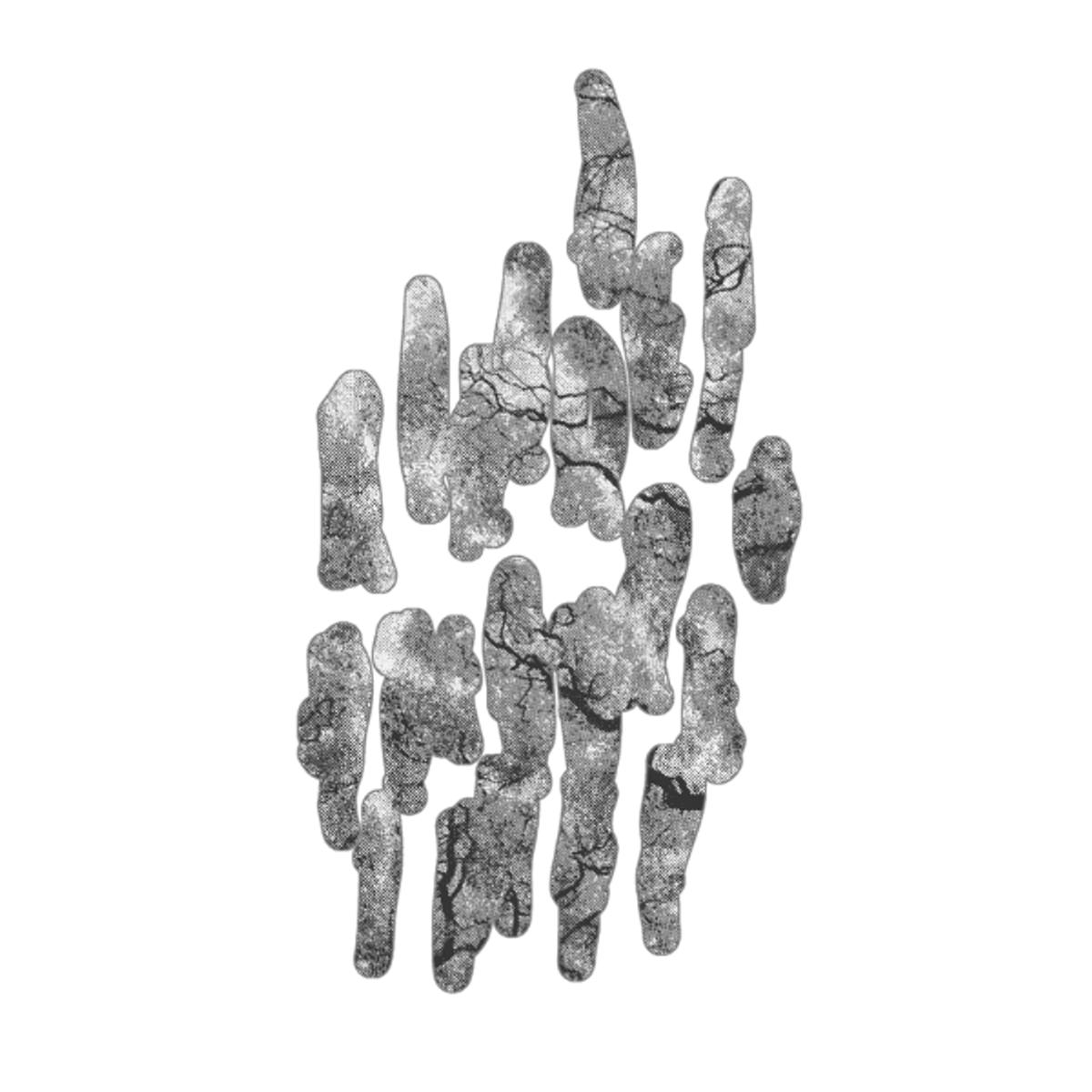 A floating abstract illustration. A cluster of vertical marks. Inside each mark is filled with a grayscale photo of bare tree branches and white sky