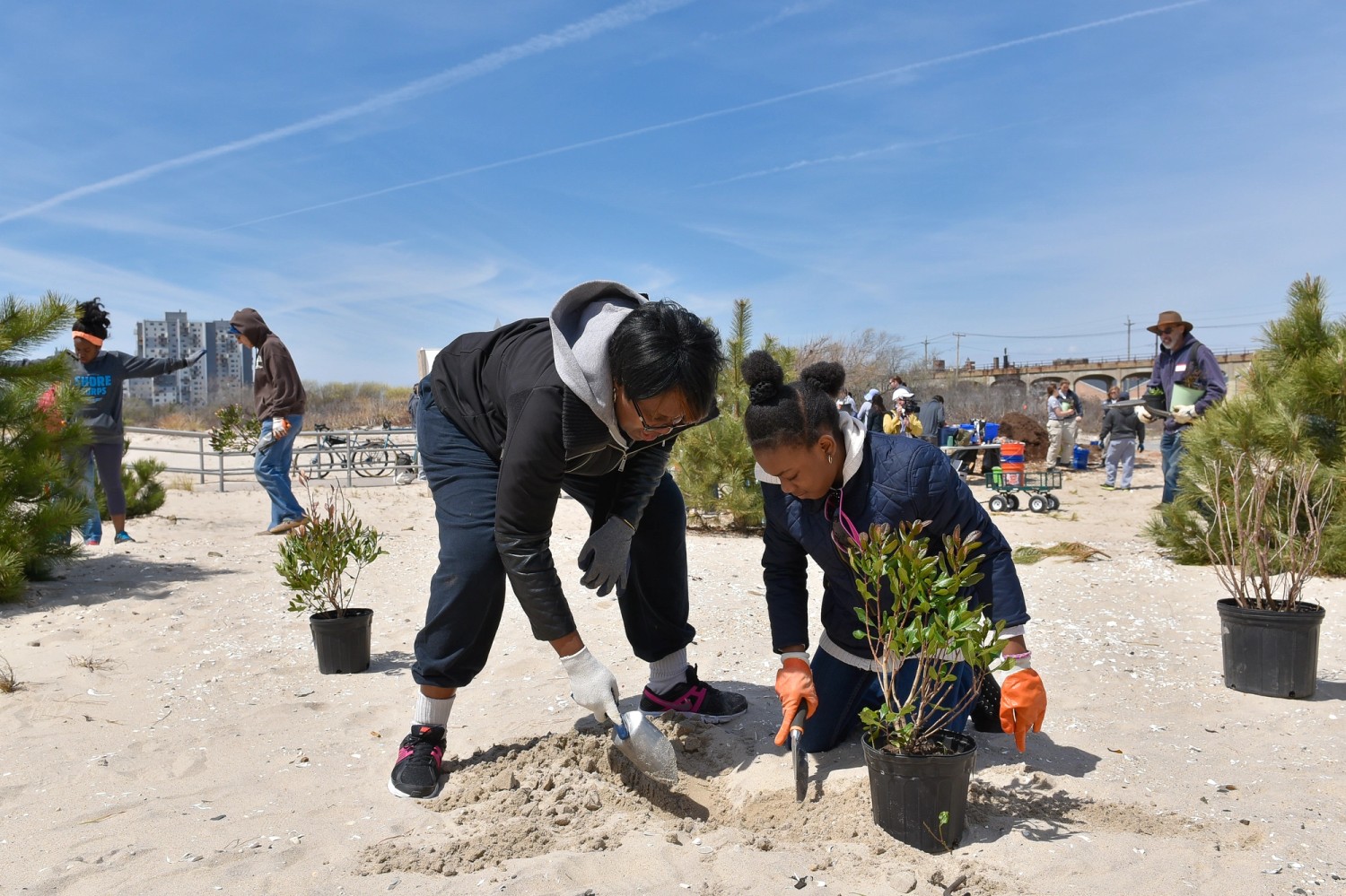 A woman and young daughter dig in the sand on the shores of the Far Rockaway.