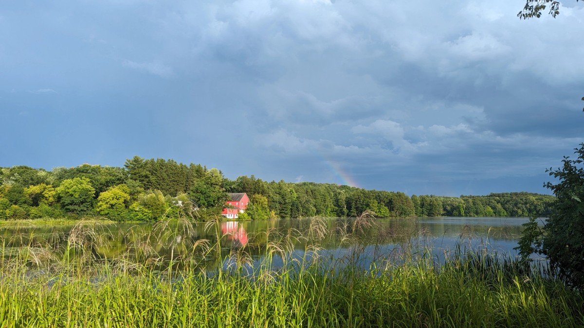 Farm landscape showing a red barn at the far edge of a lake surrounded by tall grass, below a gray sky with rain clouds. 