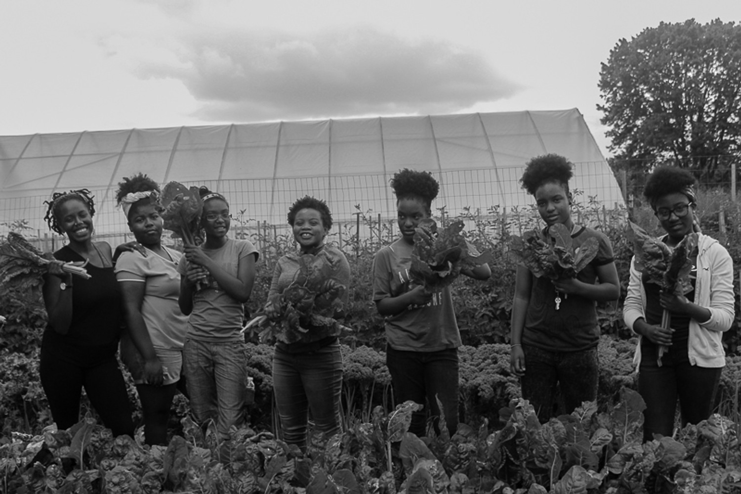 Our Mothers' Kitchens Camp at Sankofa Community Farm in Southwest Philadelphia, 2017. Photo: Gabrielle Clark.