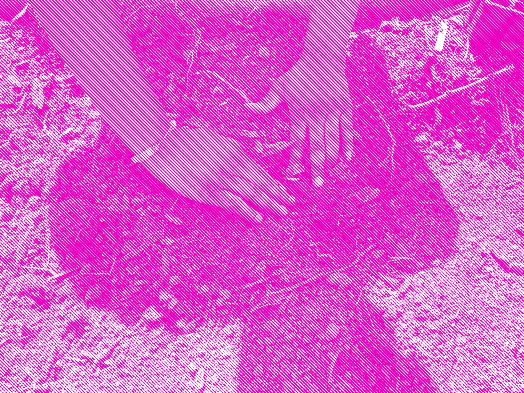 A photo of hands reaching down to plant seeds in soil. The photo is rendered in a hot pink and white bitmap.