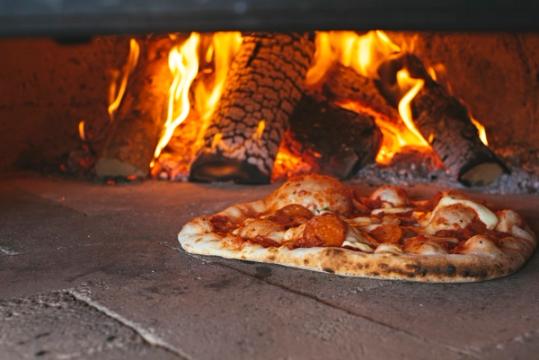 Barney and the Pizza | Folkestone Harbour Arm