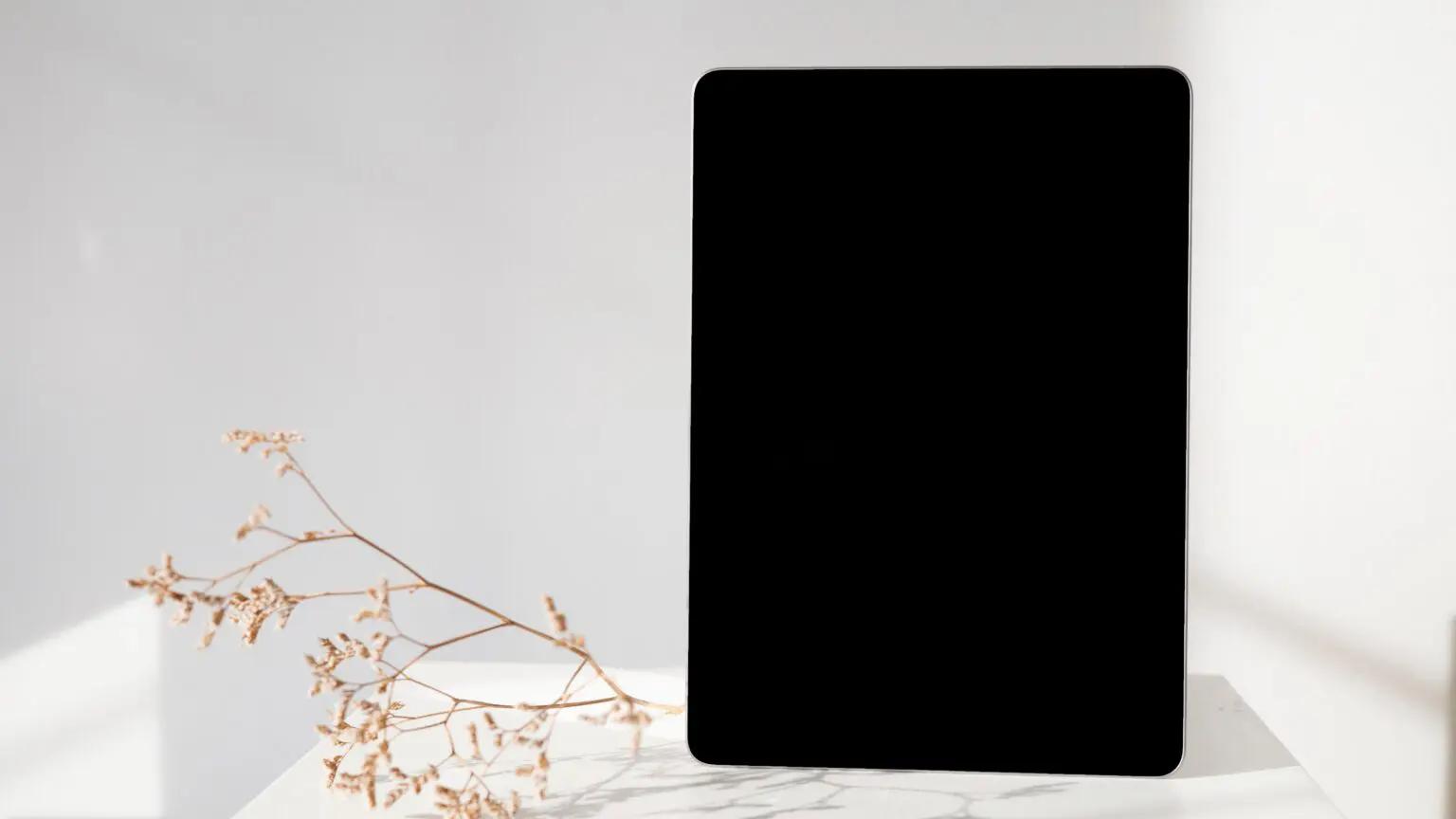 the-vertical-monitor-is-good