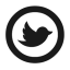 icon of Twittimer