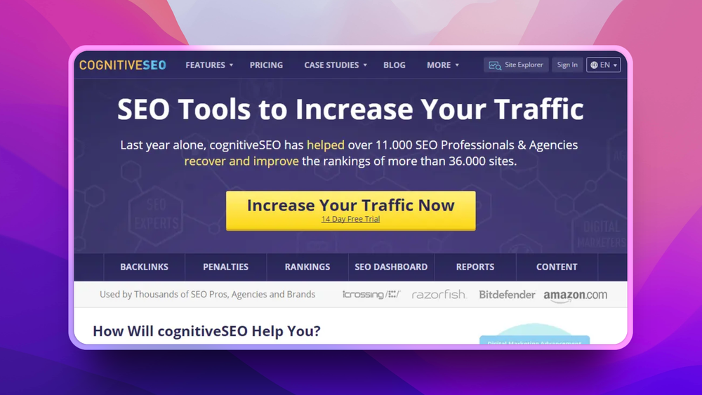 image of cognitiveSEO
