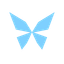Kite