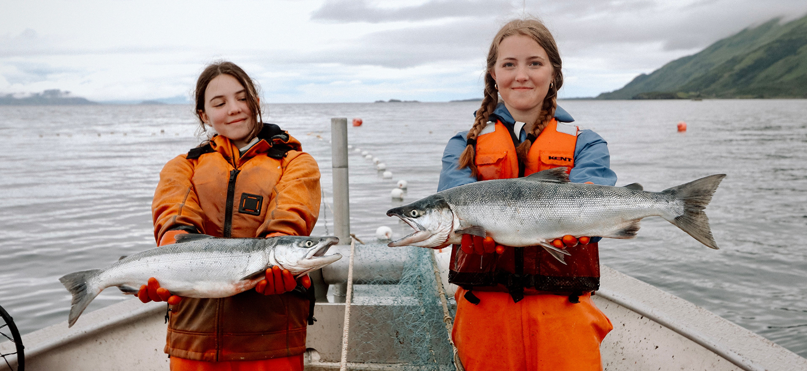 We Bring Alaska Home