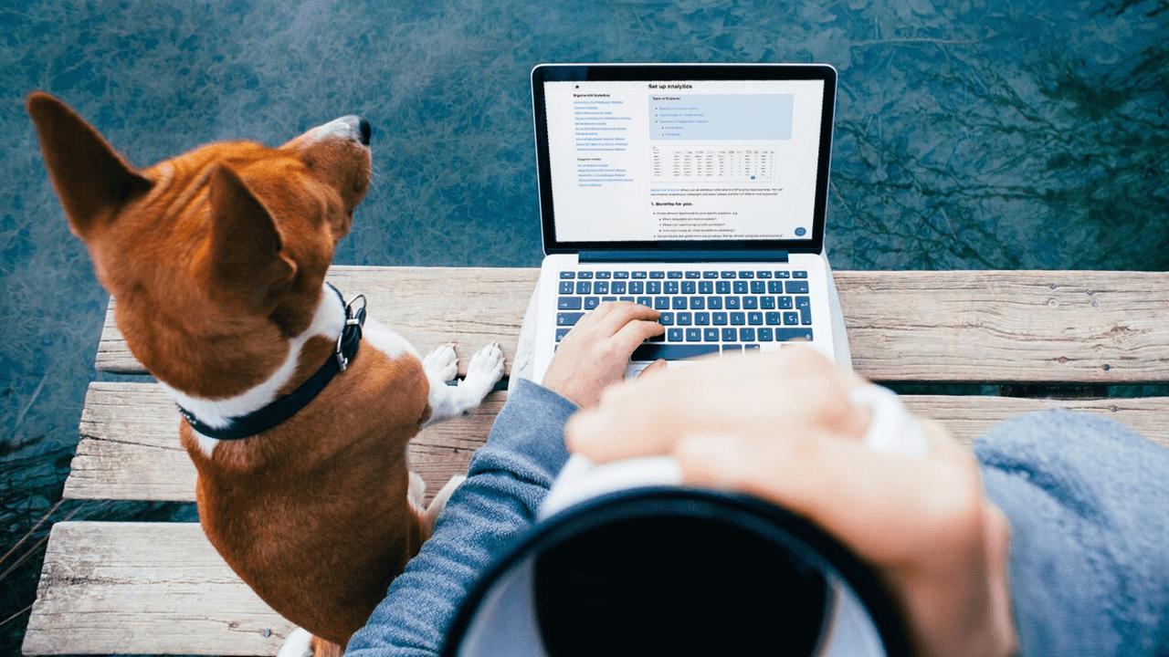 A person works on a laptop on a wooden dock with a dog beside them, holding a mug.