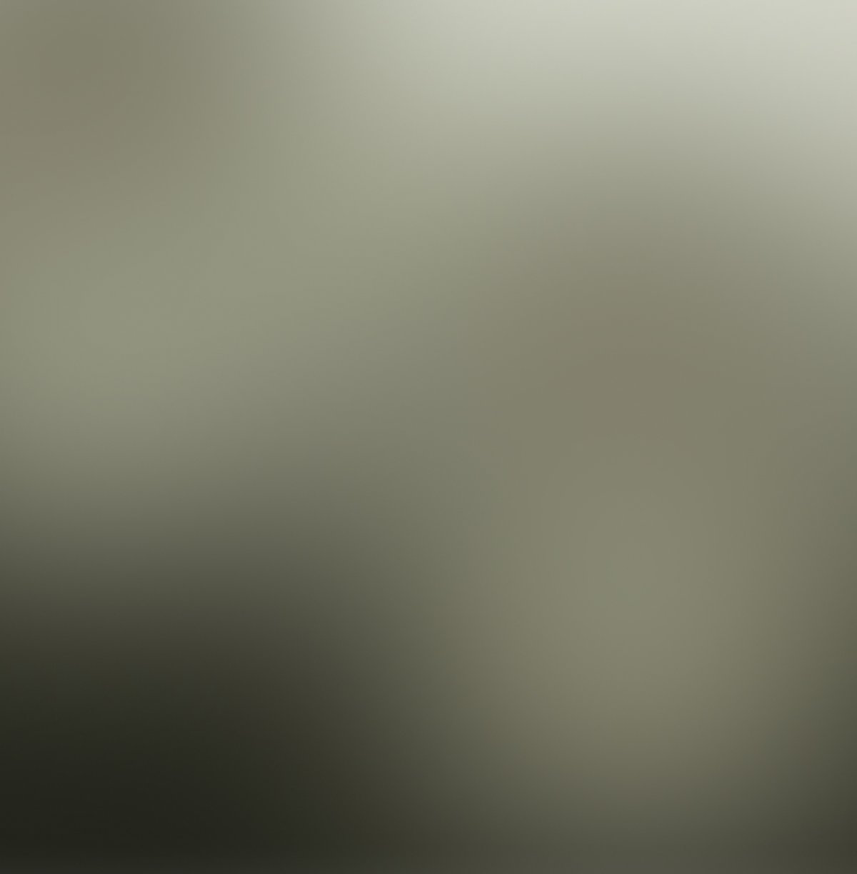 A blurred gradient background from light olive-grey to dark grey.