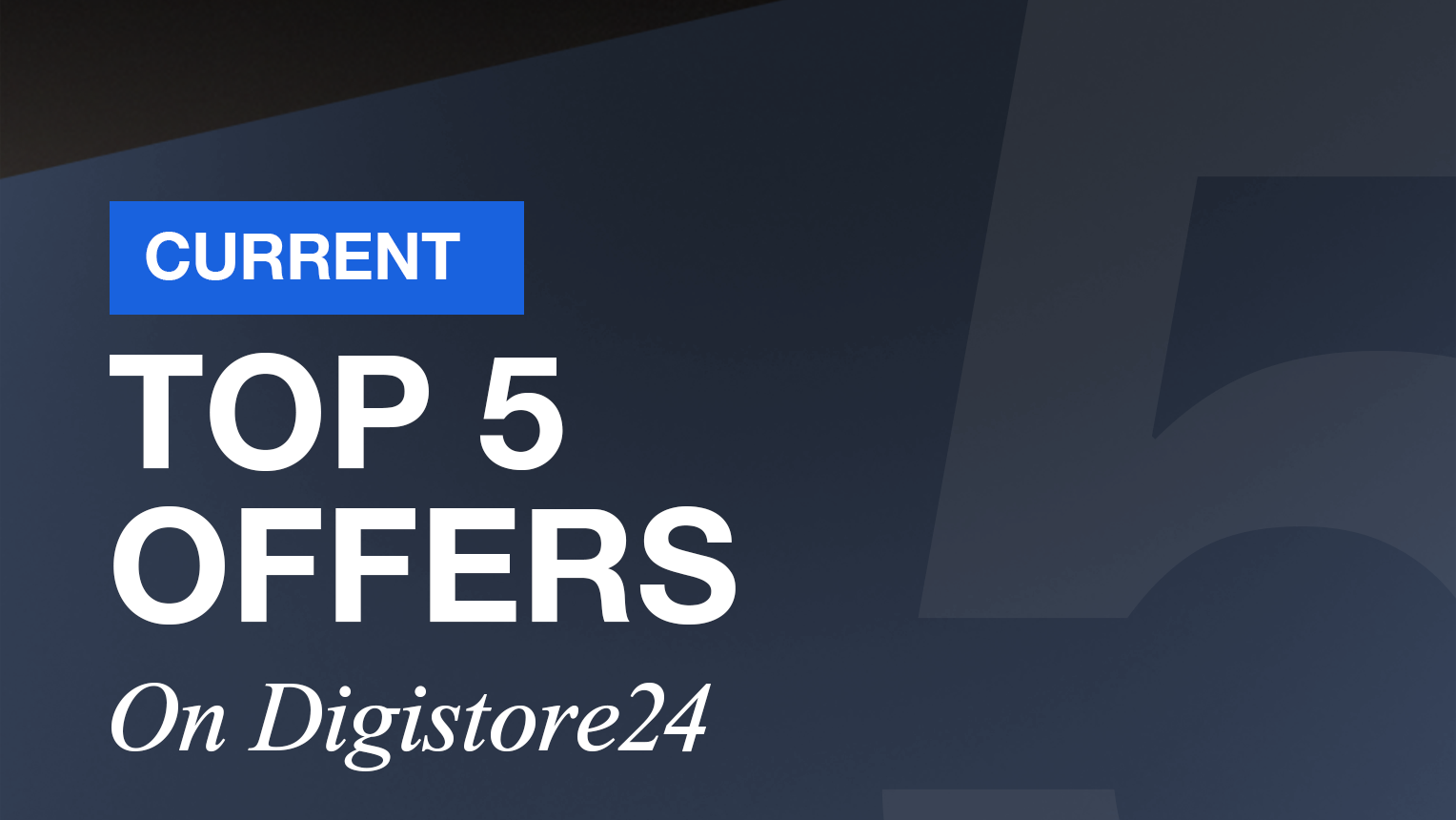 Current Top 5 Offers On Digistore24.