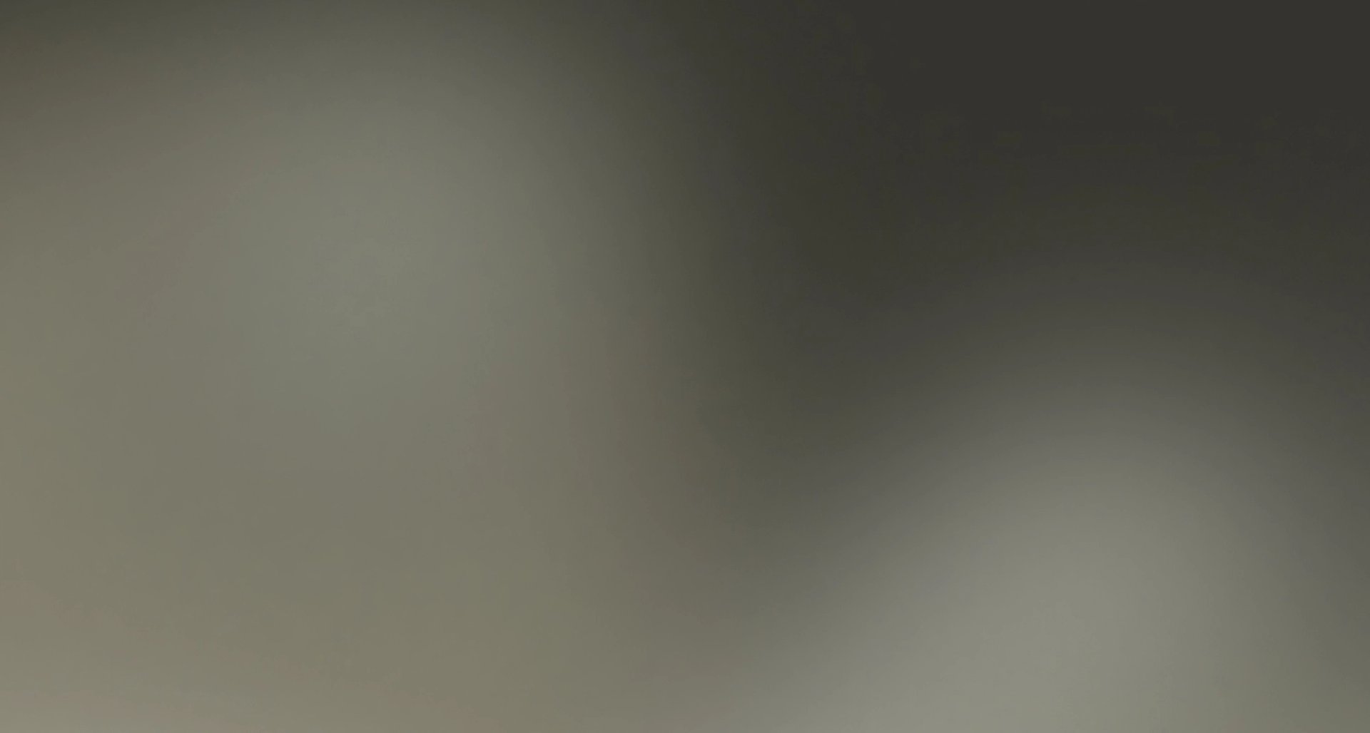 A smooth gradient background from light greenish-gray to dark gray.