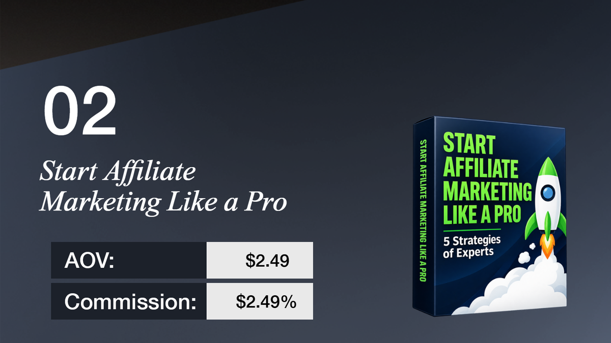 Section 02: 'Start Affiliate Marketing Like a Pro' with AOV $2.49 and Commission $2.49%, plus a product box featuring a rocket.