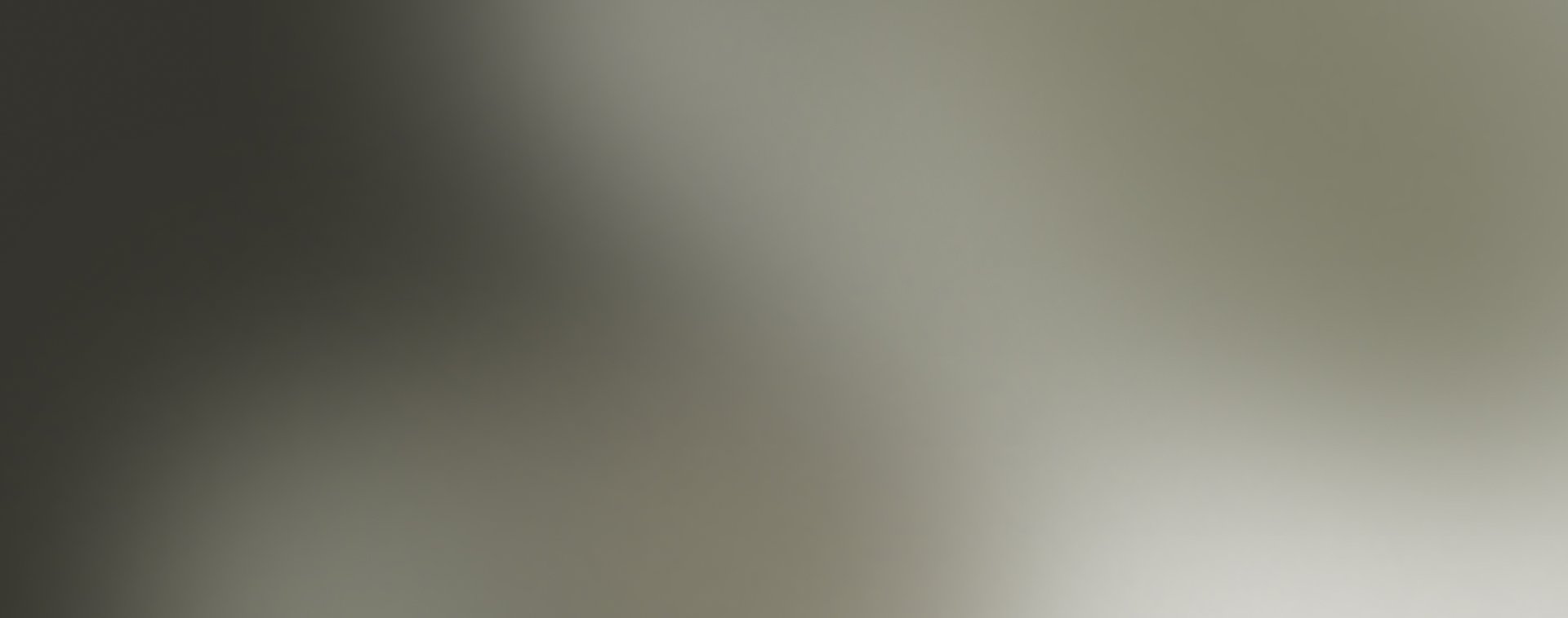 Blurred gradient from dark gray to light gray.