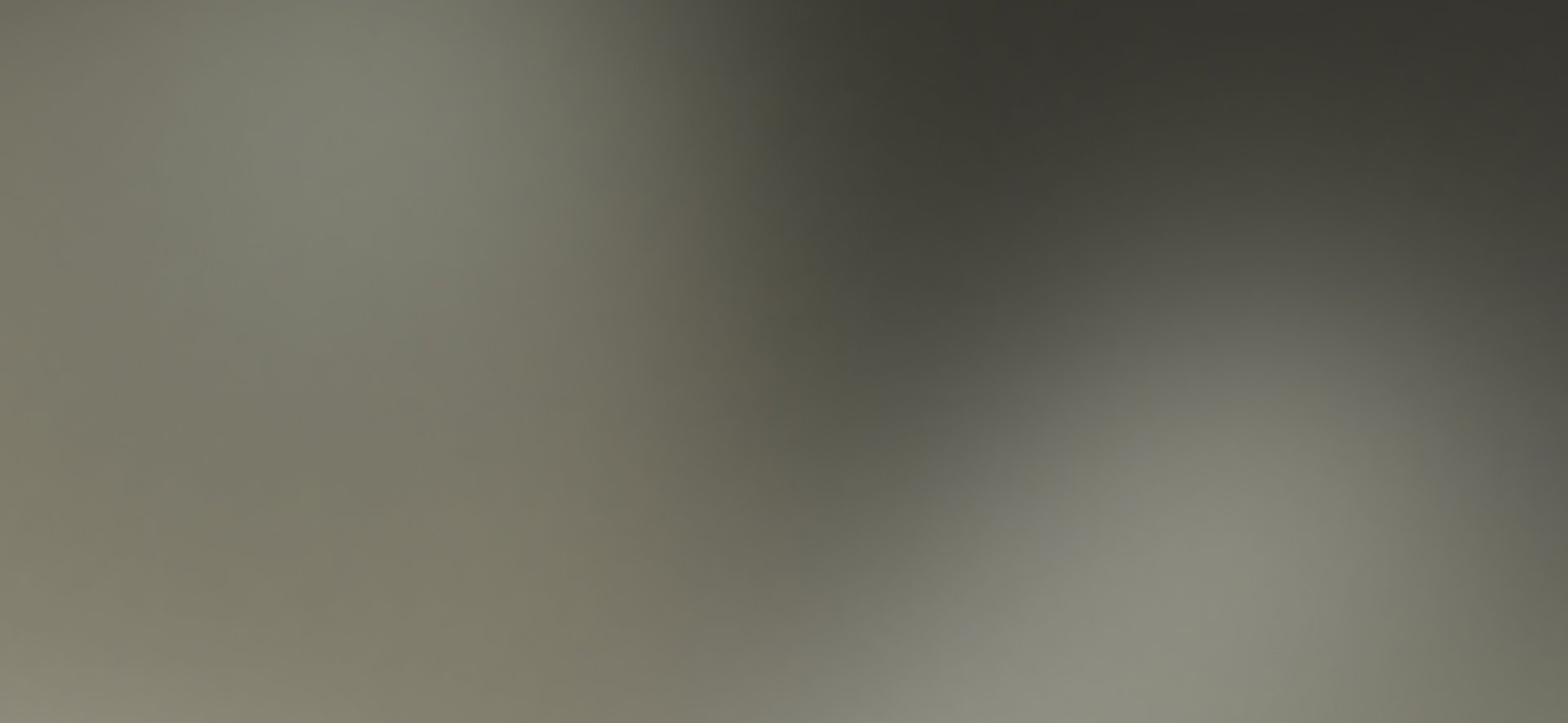 A soft gradient from light olive-gray to dark gray.