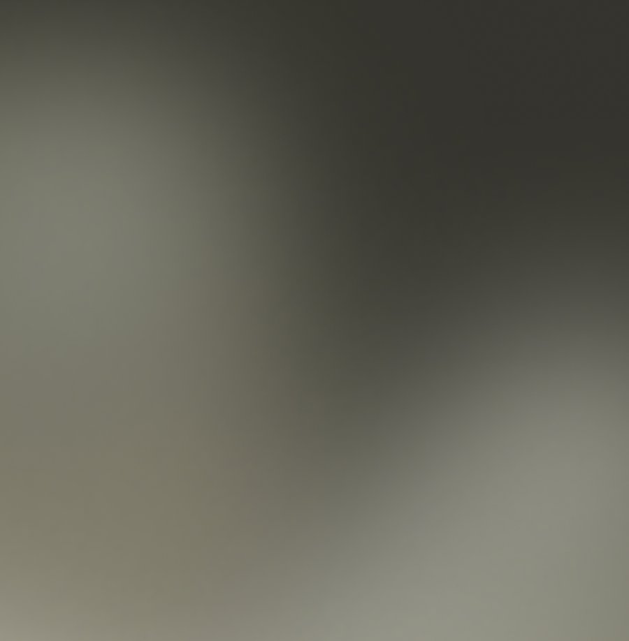 Blurred gradient background from dark grey to light taupe.