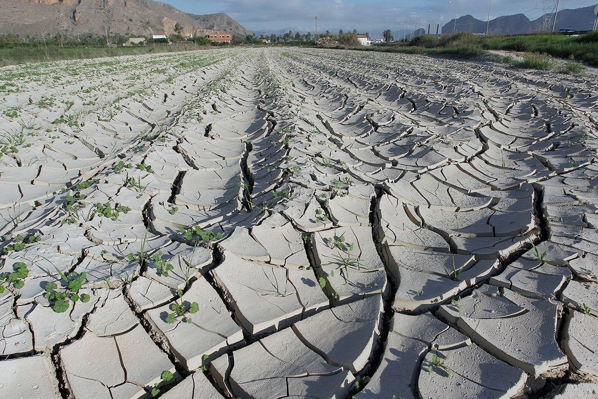 Servicios de MataSeguros para el sector agrario