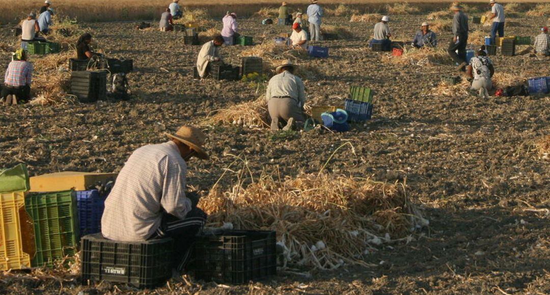 Cuando el campo pierde: siniestros agrícolas, seguros que no responden y lo que está en juego para un agricultor