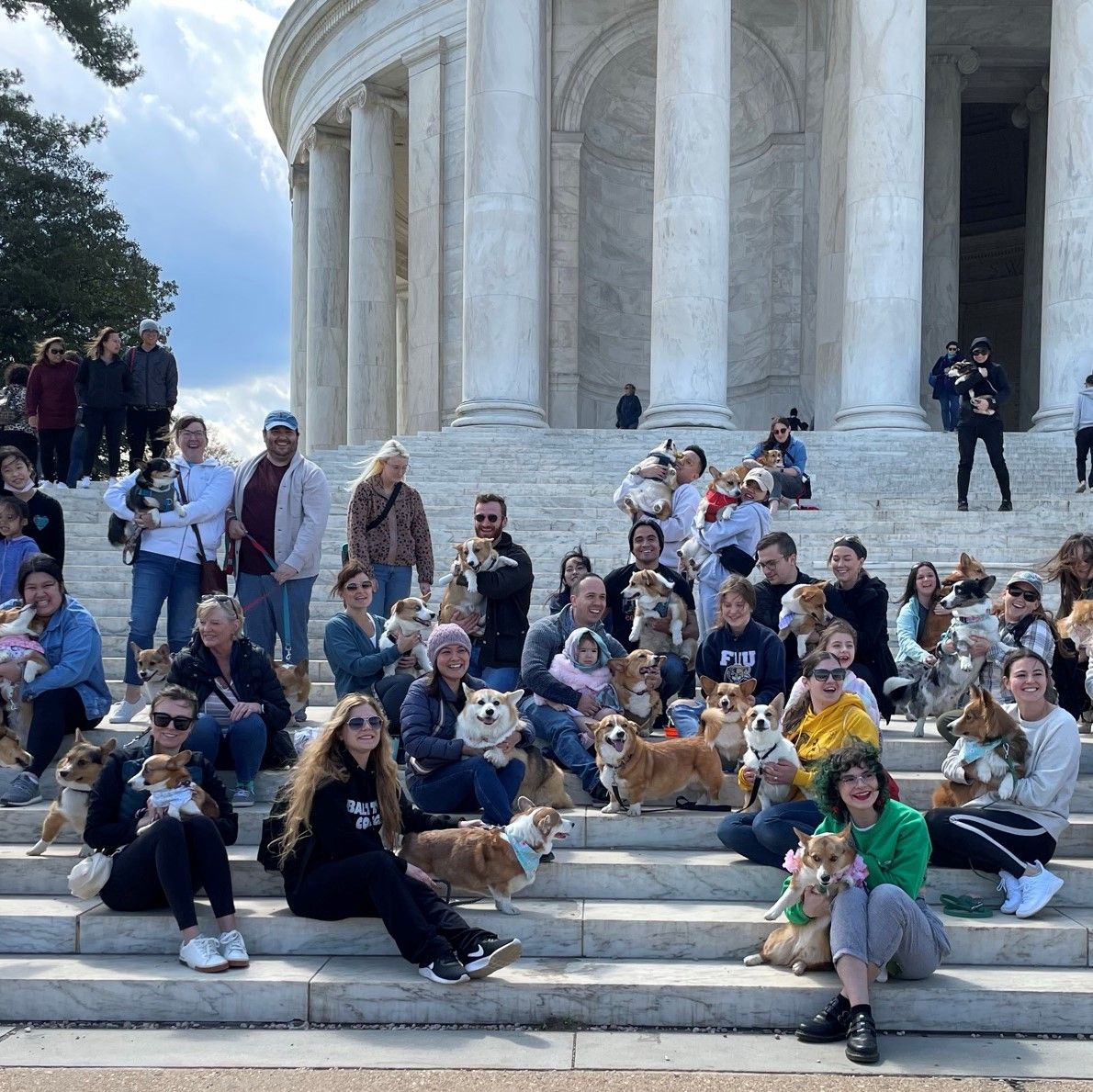 A photo of a large group of corgis with their owners in front of the Jefferson Memorial.