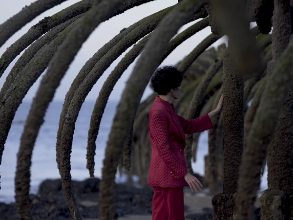 Frame 7