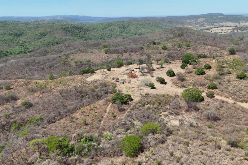 FAZENDA À VENDA EM POSSE – GO | ÀS MARGENS DA GO-446, imagem 2