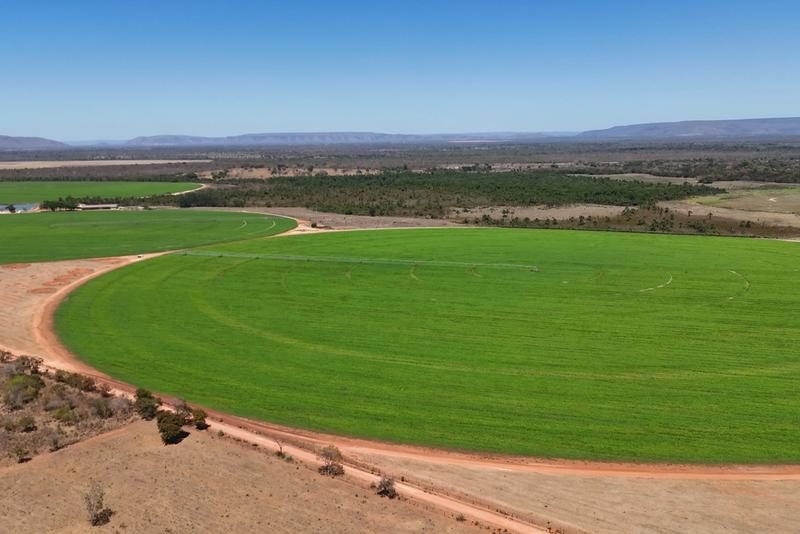 FAZENDA 1.245 HA EM ARINOS-MG | 612 HA IRRIGADOS | 10 PIVÔS, imagem 3