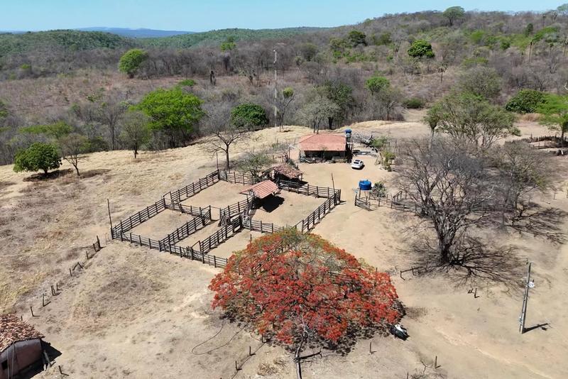 FAZENDA À VENDA EM POSSE – GO | ÀS MARGENS DA GO-446, imagem 6