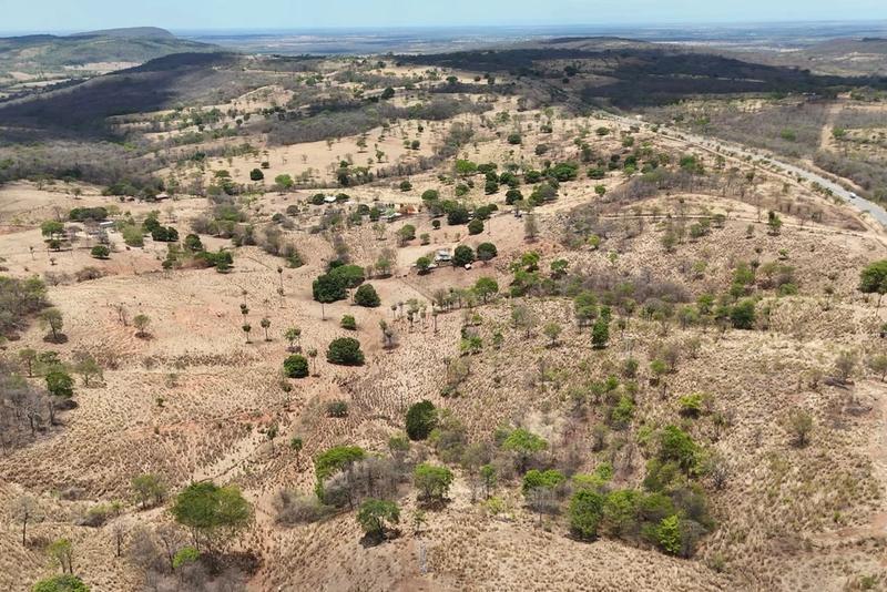 FAZENDA À VENDA EM POSSE – GO | ÀS MARGENS DA GO-446, imagem 8
