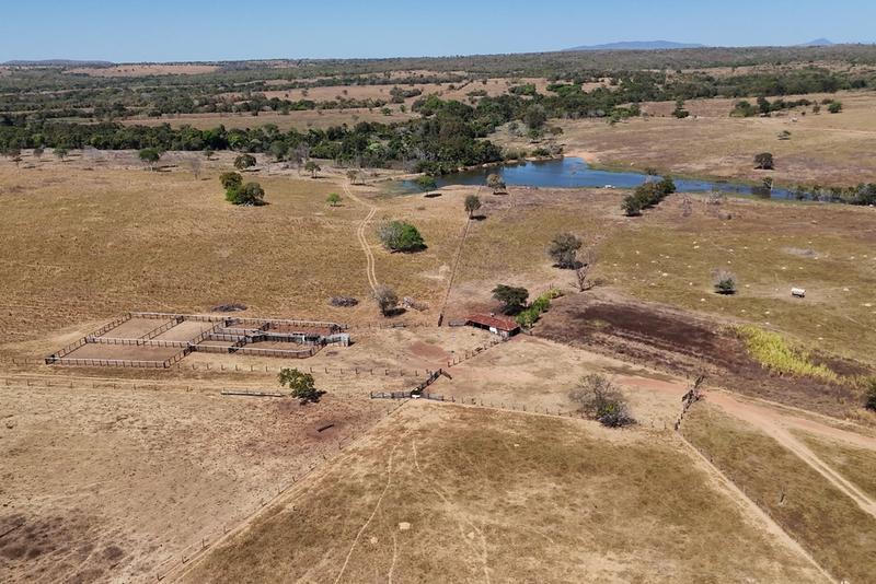 FAZENDA DE 4.022 HECTARES NO SUL DO TOCANTINS — PECUÁRIA DE ALTA PERFORMANCE COM CONFINAMENTO E FÁBRICA DE RAÇÃO, imagem 20