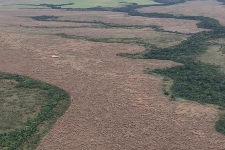 FAZENDA 2.500 HA EM NOVA BRASILÂNDIA-MT | 700 HA PLANTANDO | SOLO 35% A 50% ARGILA