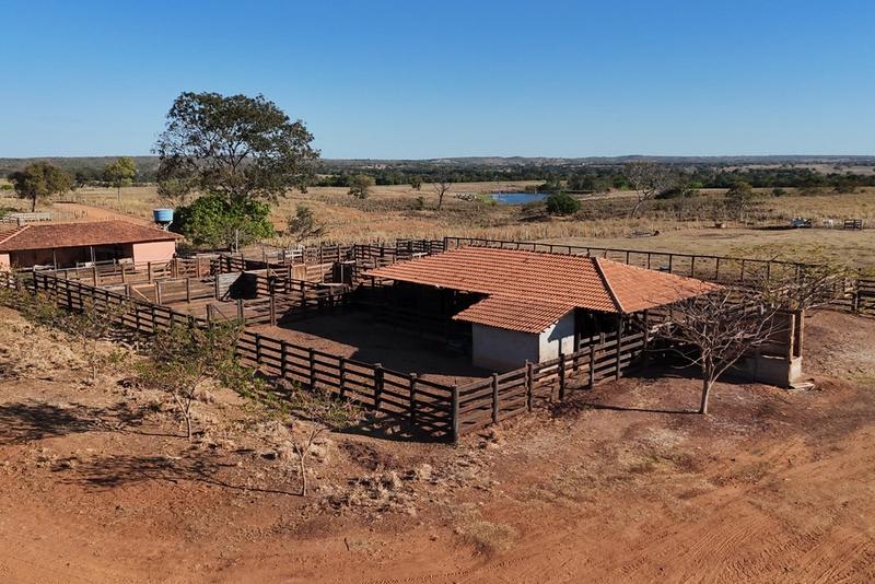 FAZENDA DE 4.022 HECTARES NO SUL DO TOCANTINS — PECUÁRIA DE ALTA PERFORMANCE COM CONFINAMENTO E FÁBRICA DE RAÇÃO, imagem 2