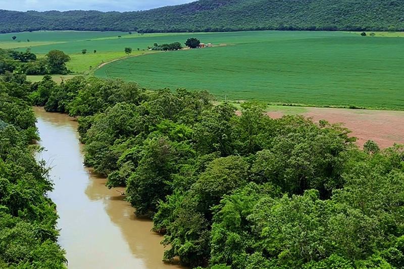FAZENDA 554 HA EM UNAÍ-MG | 144 HA IRRIGADOS | 4 PIVÔS | R$ 31,5 MILHÕES, imagem 7