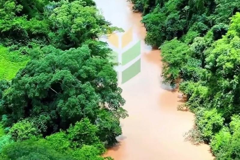 FAZENDA 210 ALQUEIRES | 8 KM DE RIO | 110 KM DE BRASÍLIA | R$ 12,7 MILHÕES., imagem 12