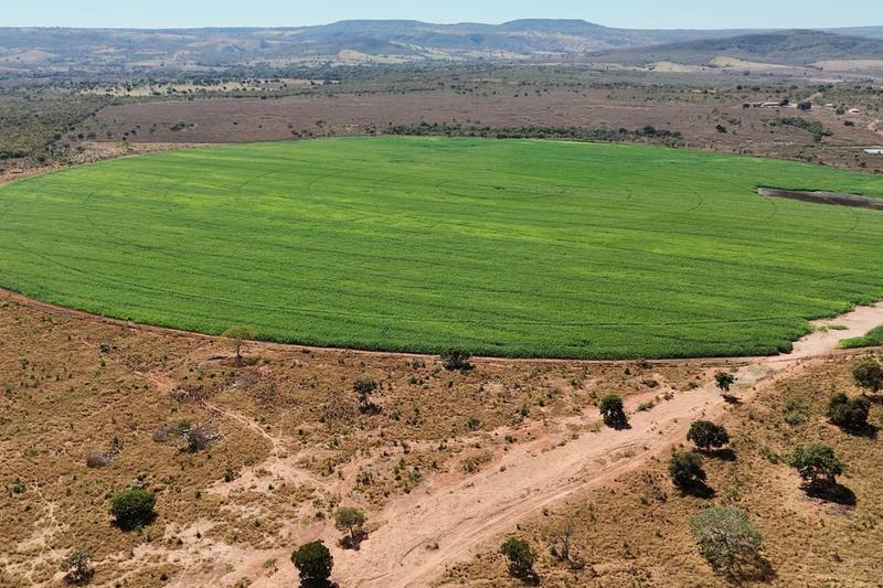 FAZENDA 437 HA EM DOM BOSCO-MG | CONFINAMENTO 1.000 BOIS | 99 HA IRRIGADOS | R$ 19 MILHÕES, imagem 4